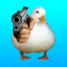 arabicduck