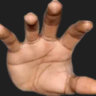 Selected profile picture