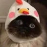 Matched profile picture