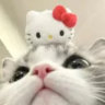 marumajai