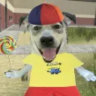 Matched profile picture