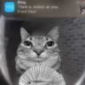 Selected profile picture