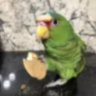 Bfonso Aolacha