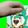Selected profile picture
