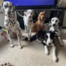 Selected profile picture