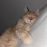 zoomingzoom