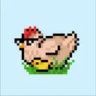 Selected profile picture