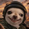 Selected profile picture