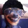 Selected profile picture