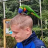 Matched profile picture