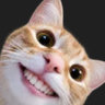 Eeka’s CAT Zone