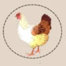 Matched profile picture