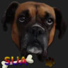 Selected profile picture