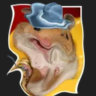 Selected profile picture