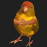 Selected profile picture