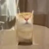 ikasuminminzemi