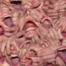 gateface