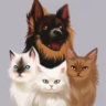 Selected profile picture