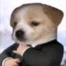 mynkdzgn