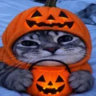 dark_cat_dev