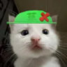 meowraki