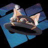 Selected profile picture