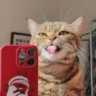 Selected profile picture