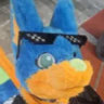 Selected profile picture