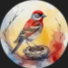 Selected profile picture