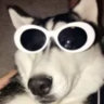 Matched profile picture