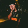 lx.sabotage