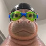 jqr