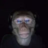 kdalpha