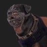 Matched profile picture