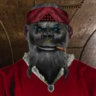 Selected profile picture