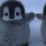 donpenguins