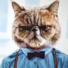 Selected profile picture