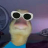 Selected profile picture