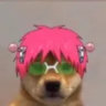 Selected profile picture
