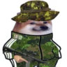 Selected profile picture