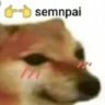 Selected profile picture
