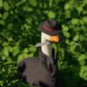 Selected profile picture
