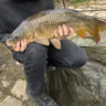jake_crosby