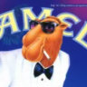 dr.gudtimes