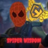 Spider Wisdom's Server
