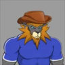 Matched profile picture