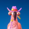 Matched profile picture