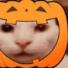 spooky world