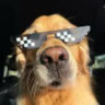 Matched profile picture