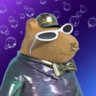 Selected profile picture